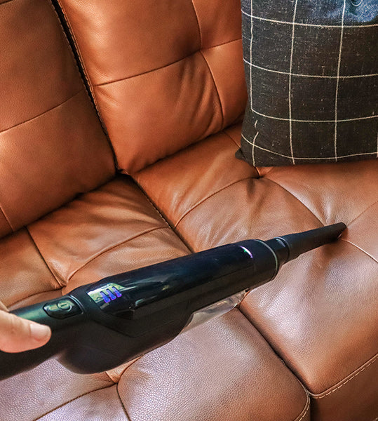 7 Essential Cleaning Tips Every Pet Owner Should Know