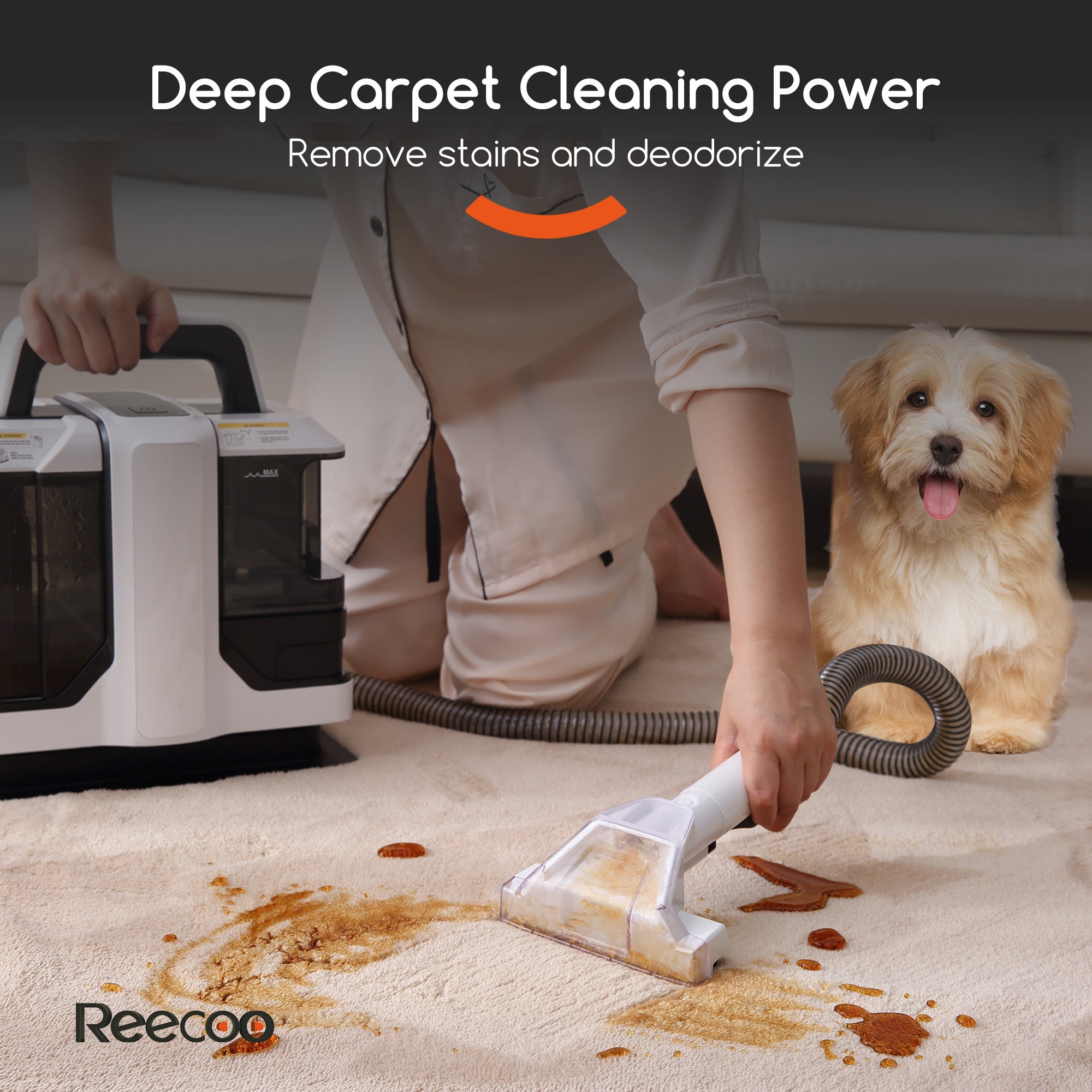 Reecoo W1 Portable Extractor for Couch, Carpet Vacuum Cleaner